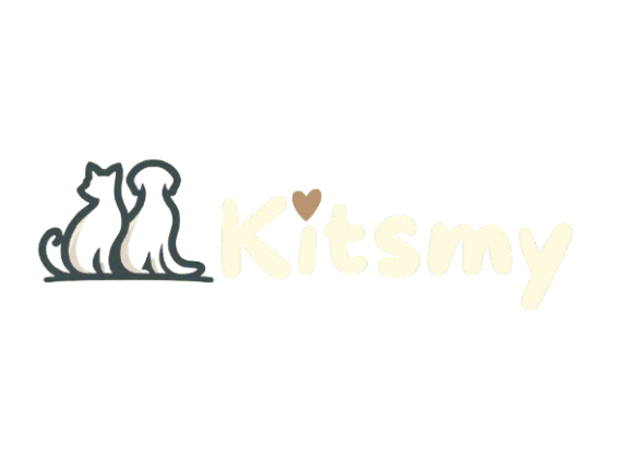 Kitsmy